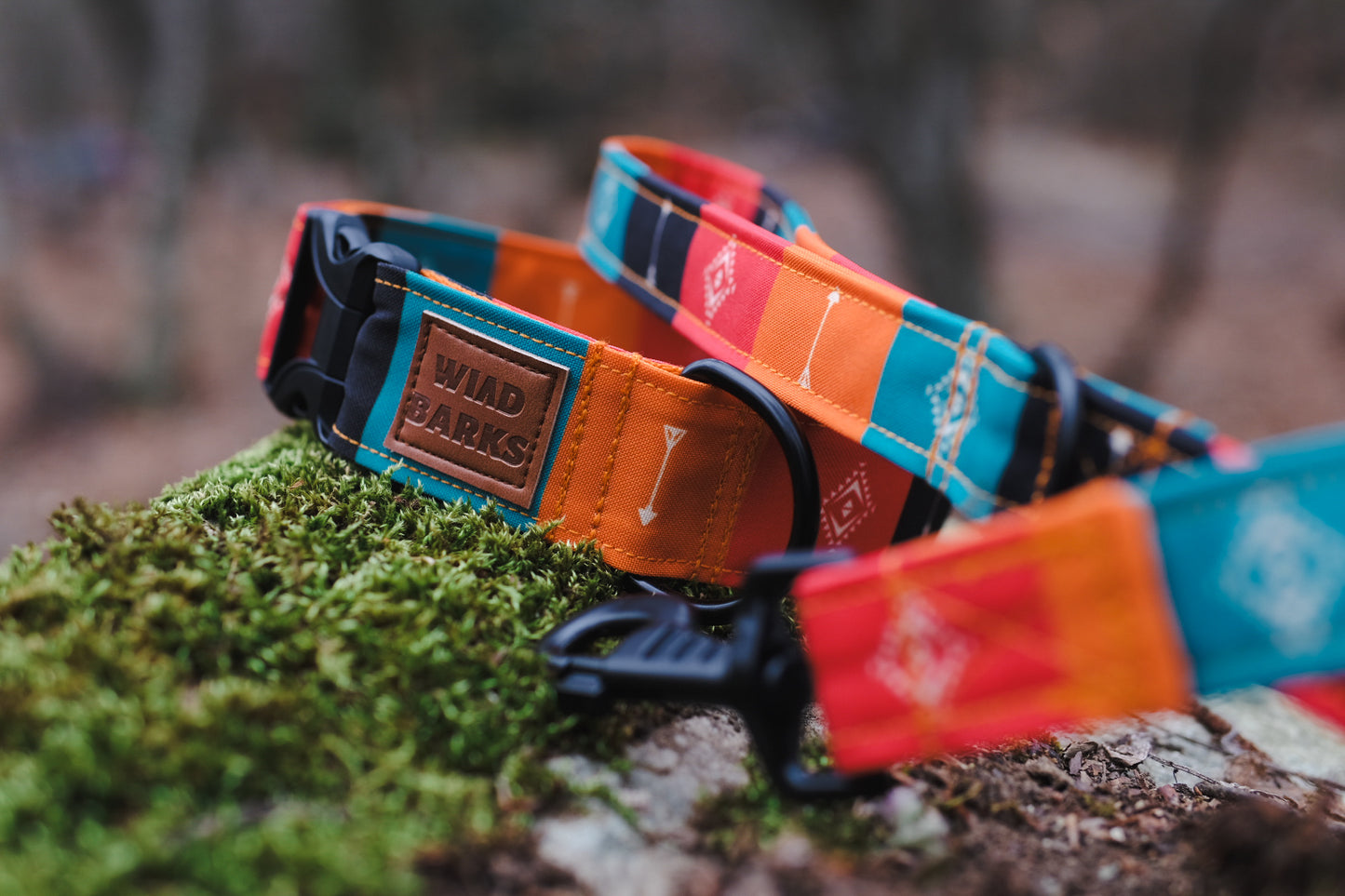 Wild Barks Dog Leash - NATIVE