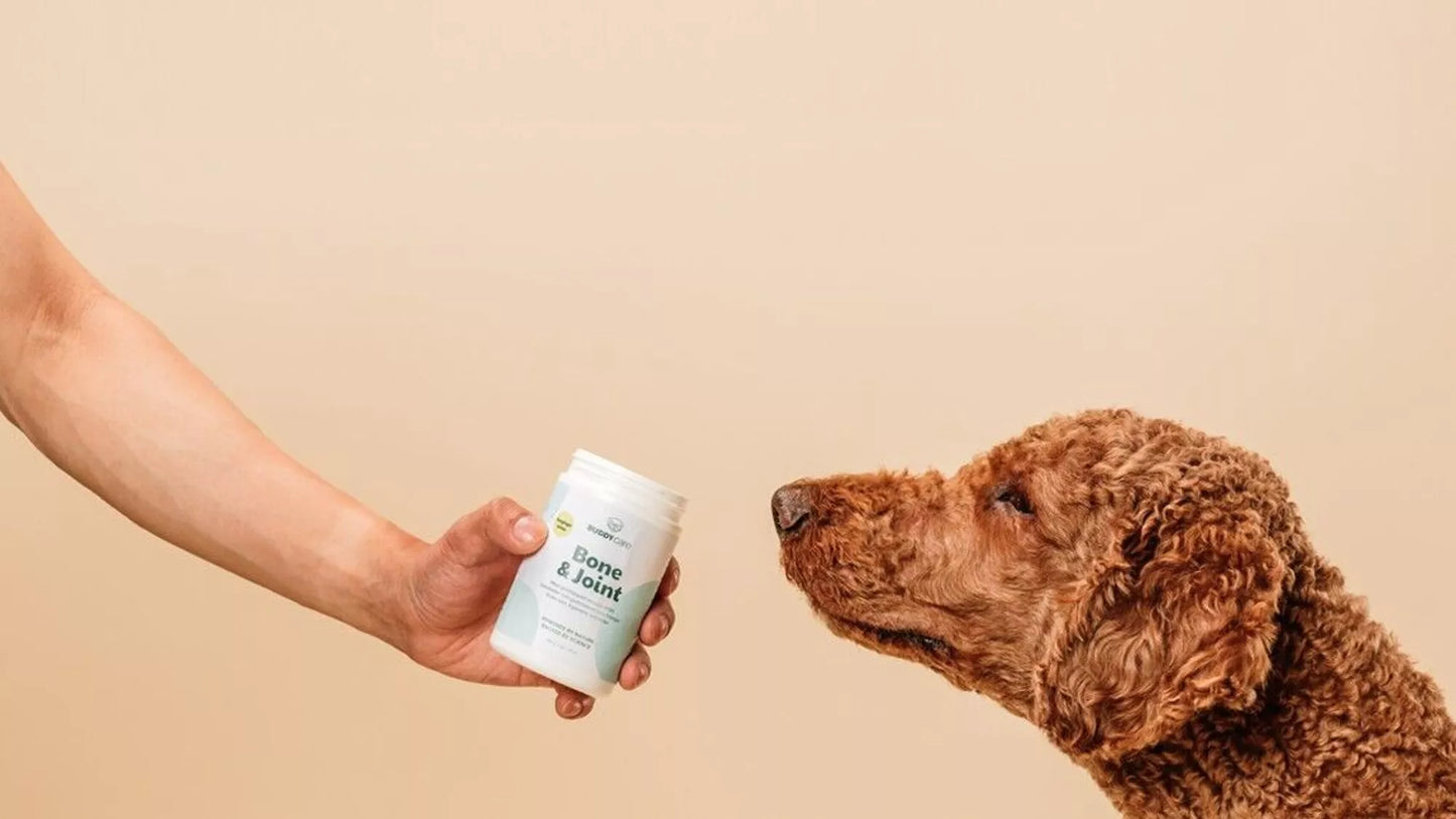 Buddy Care Bone & Joint Support