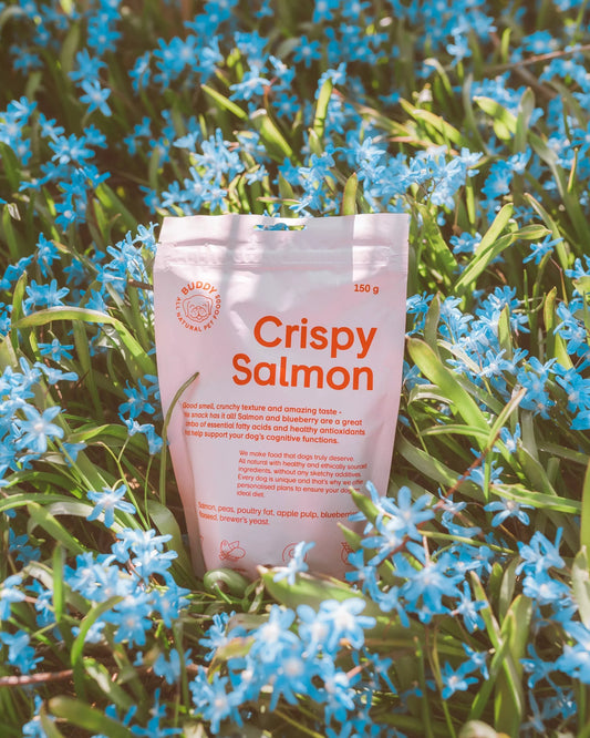 Buddy Crispy Salmon With Blueberries Crunchy Snack