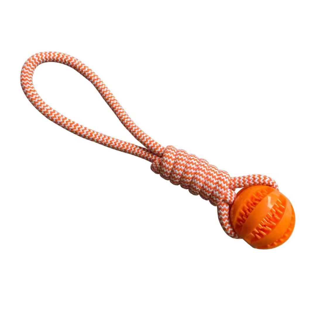 Chew Rope with Ball Dog Toy