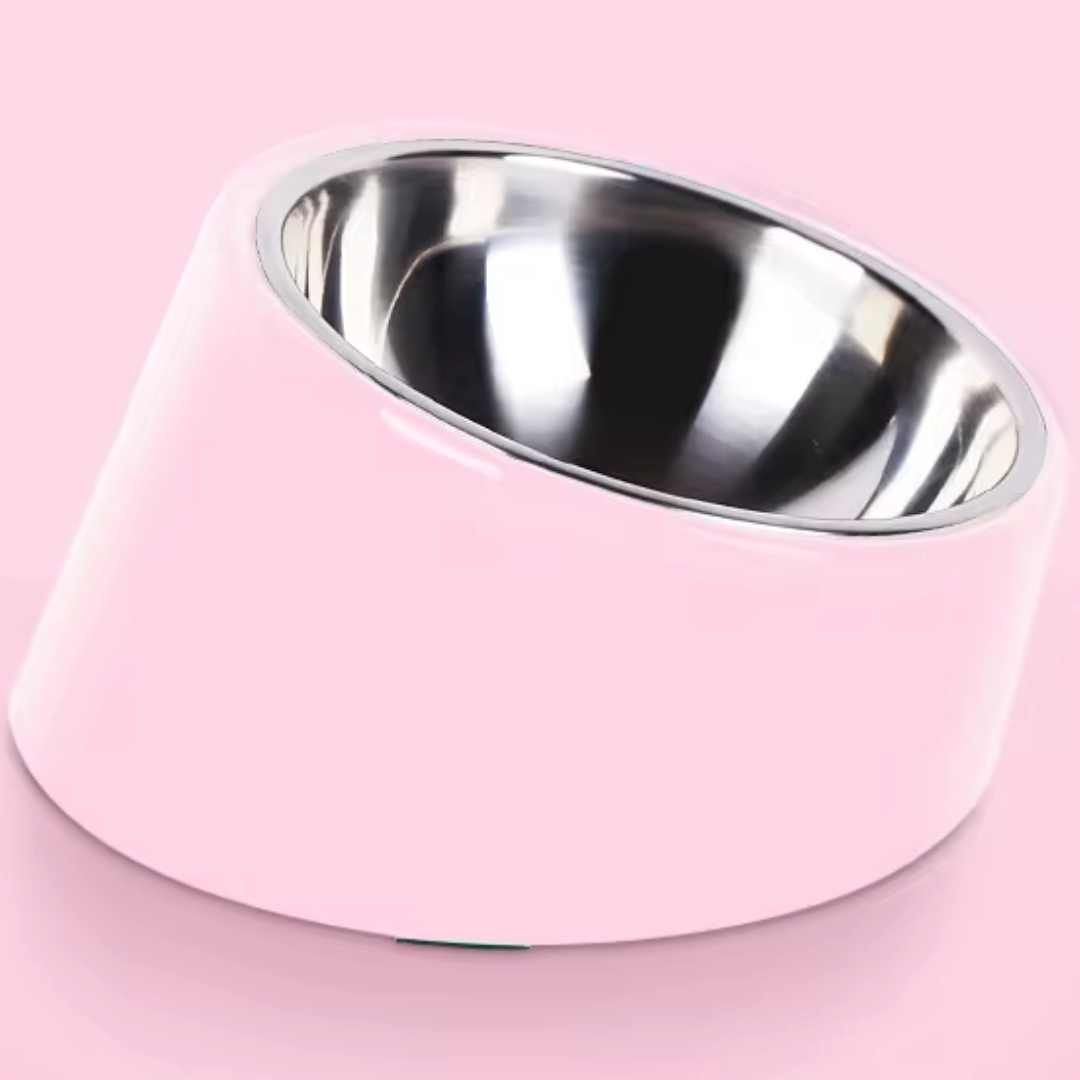 Stainless Steel Incline Bowl