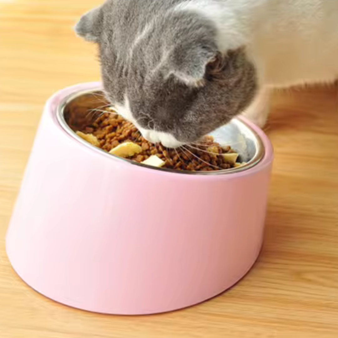 Stainless Steel Incline Bowl