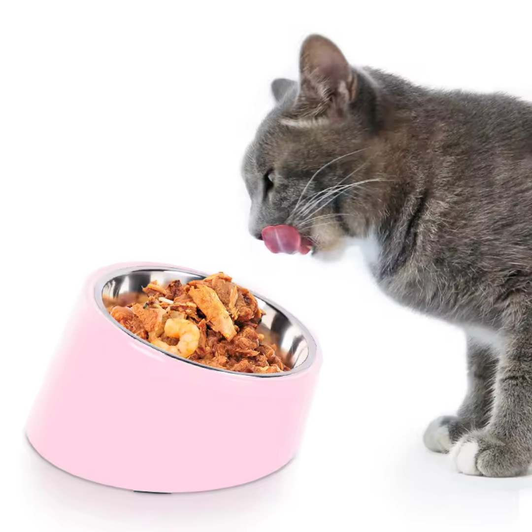 Stainless Steel Incline Bowl