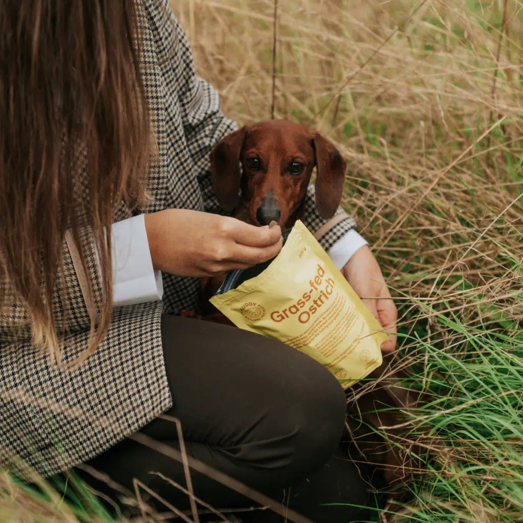 Buddy Grass-fed Ostrich With Collagen Snack