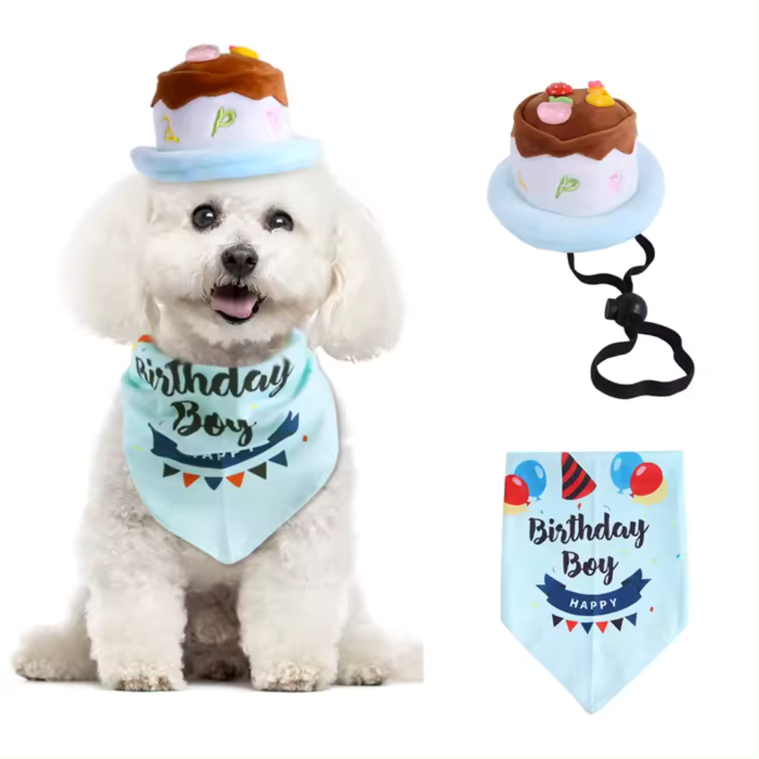 Birthday Dog Cake Hat and Bandana - Blue