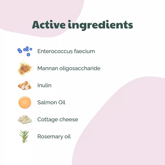 Buddy Care Probiotic Bites