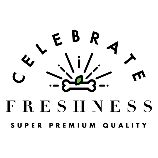 CELEBRATE FRESHNESS BEEF STICKS