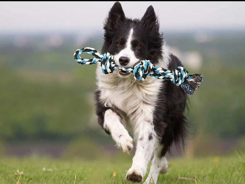 Five Knots Cotton Dog Rope - 45cm
