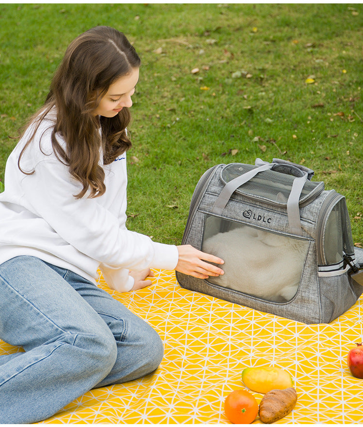 Pet Travel Carrier Bag - Black