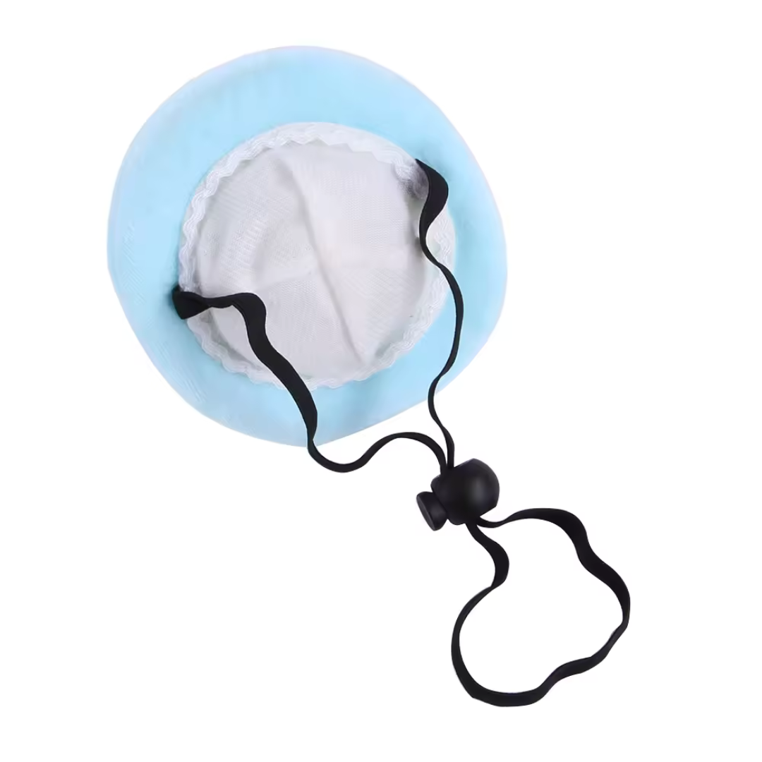 Birthday Dog Cake Hat and Bandana - Blue