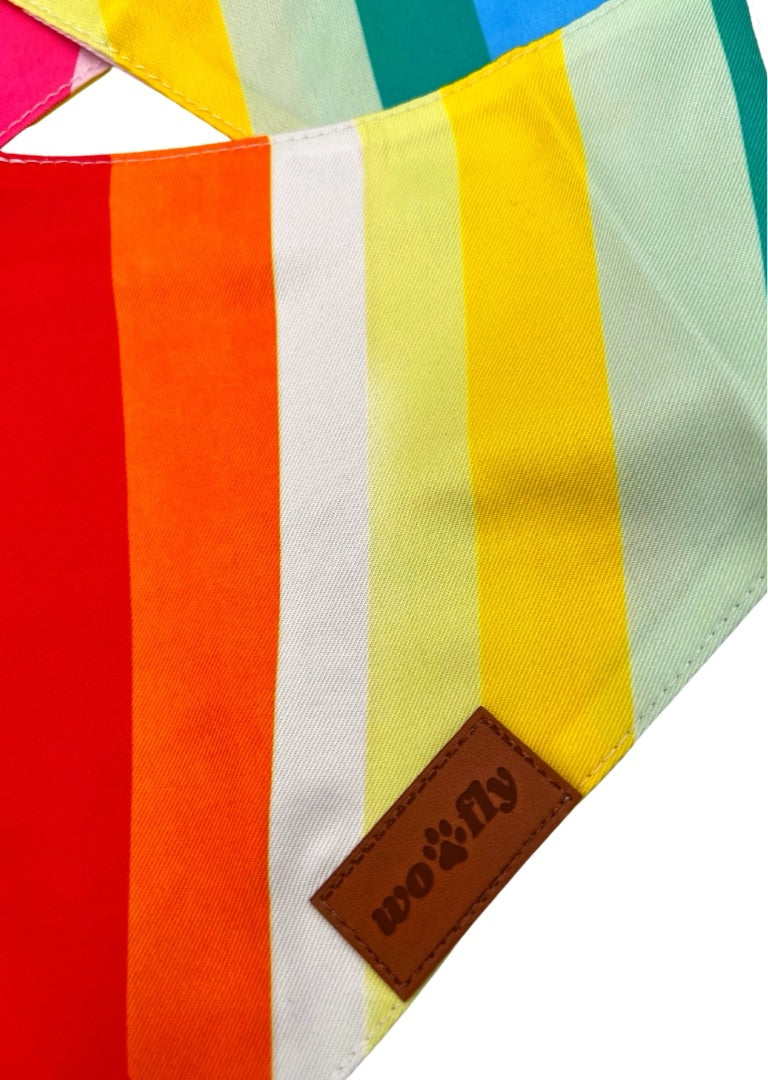 WOOFLY DOG BANDANA - TRUE COLORS