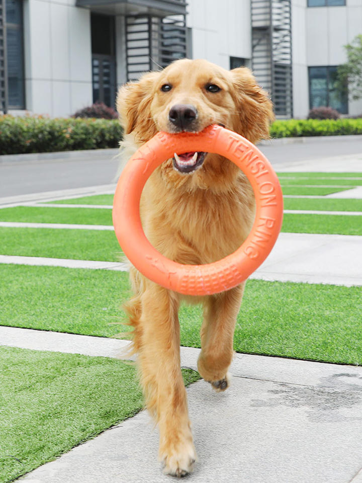RING DOG TOY FOR LARGE DOGS - 28CM