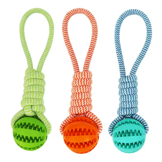 Chew Rope with Ball Dog Toy