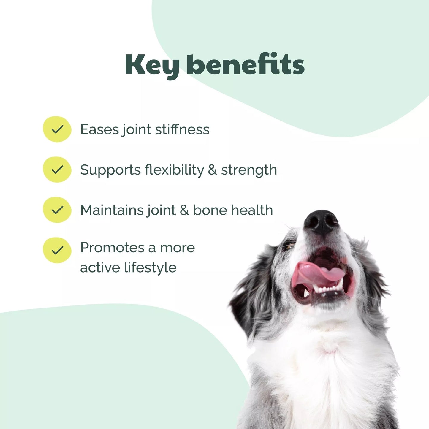 Buddy Care Bone & Joint Support
