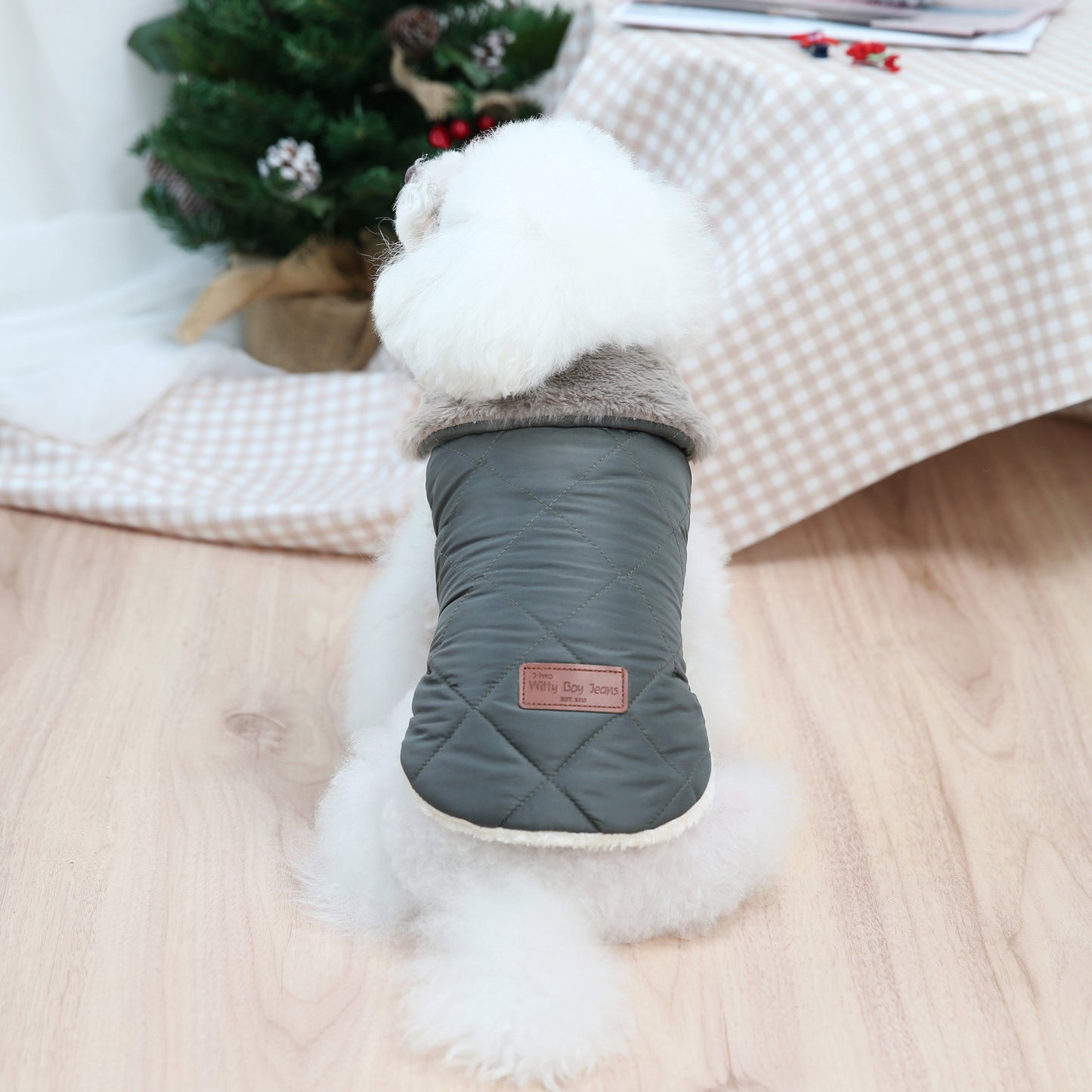 Padded Dog Jacket