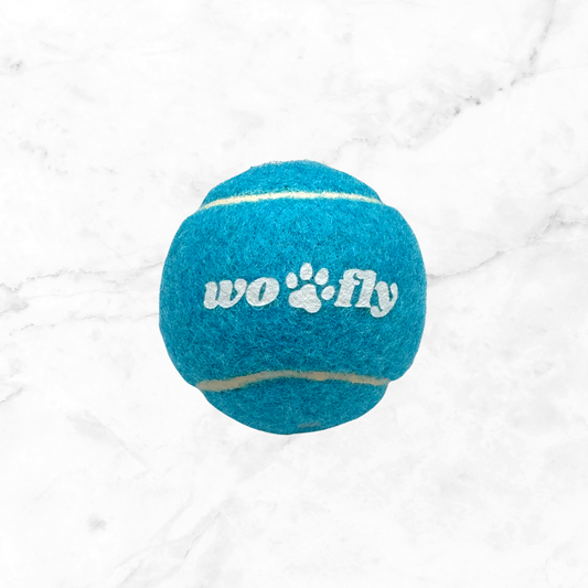 WOOFLY SQUEAKY TENNIS BALL - BLUE