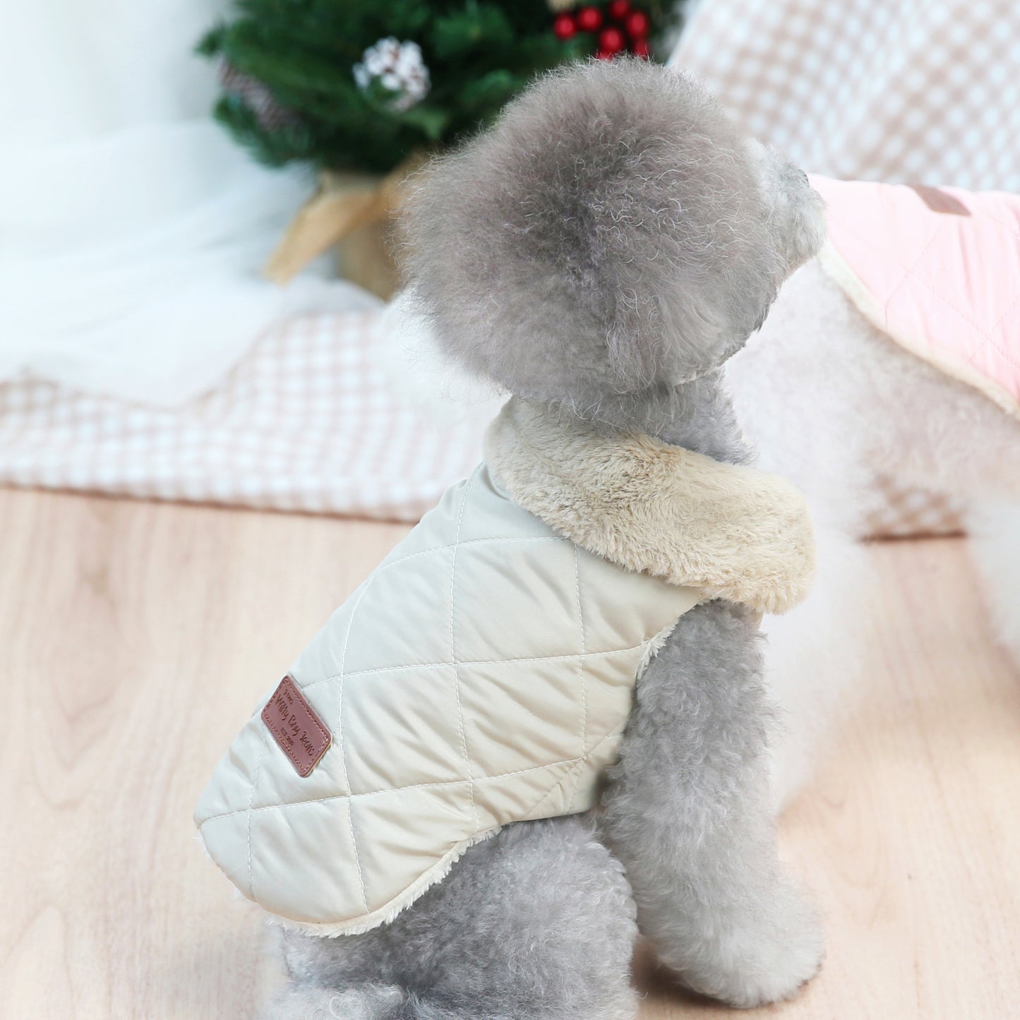 Padded Dog Jacket