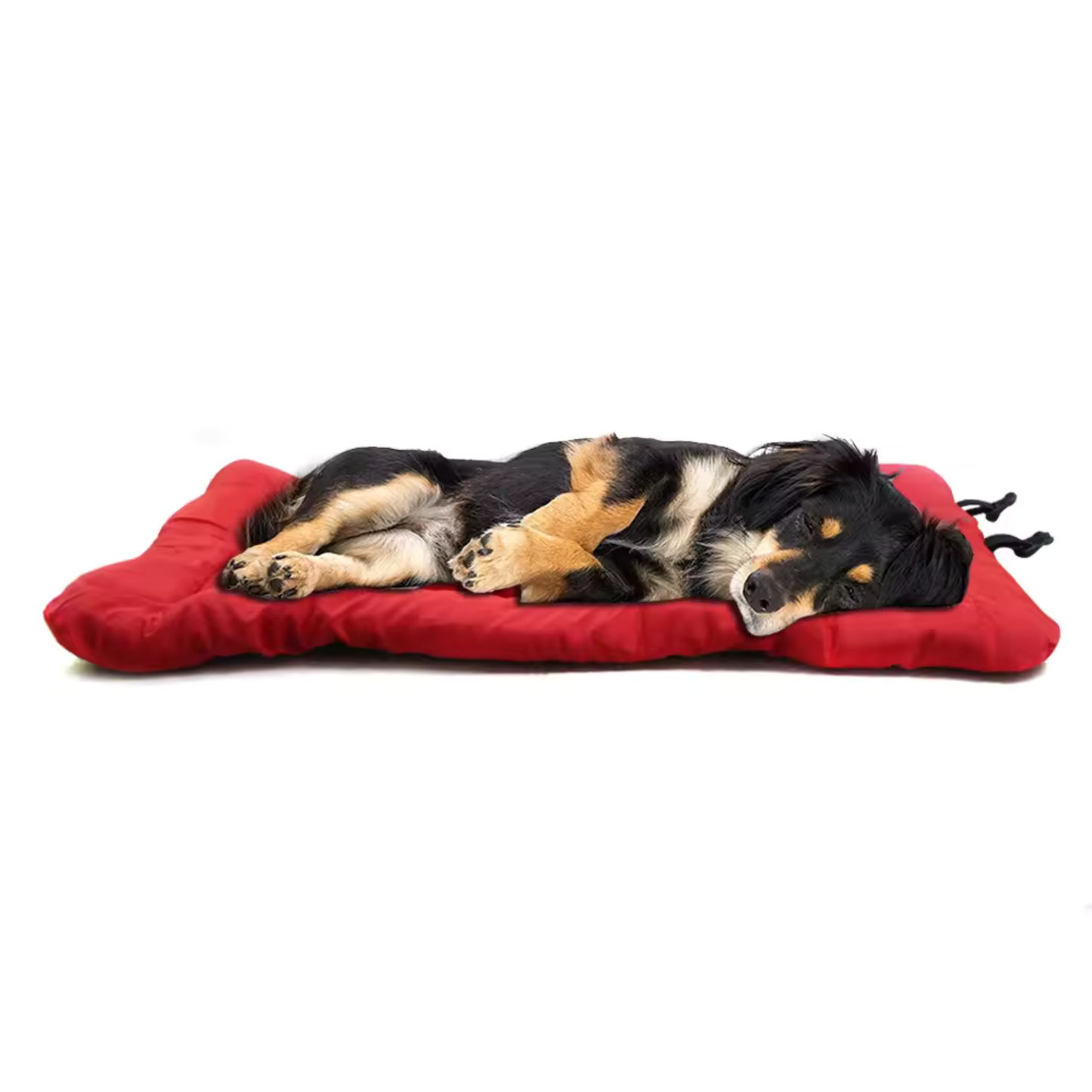 Portable Dog Travel Mat - Red