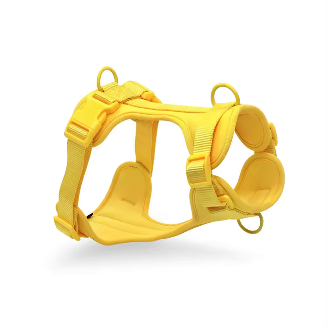 PVC Harness, Collar and Leash Set - Yellow