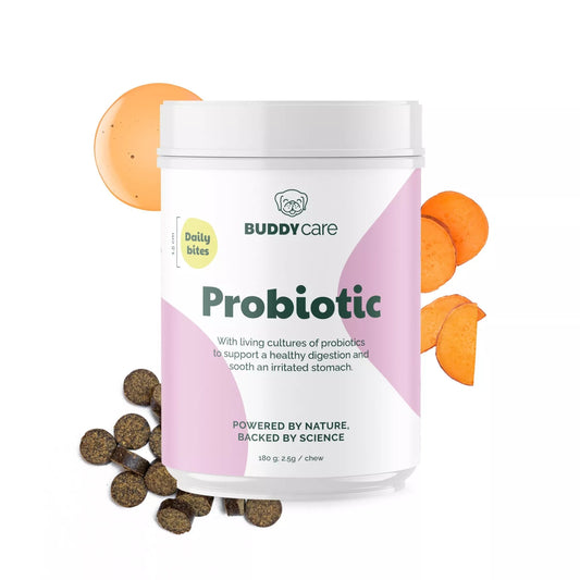 Buddy Care Probiotic Bites