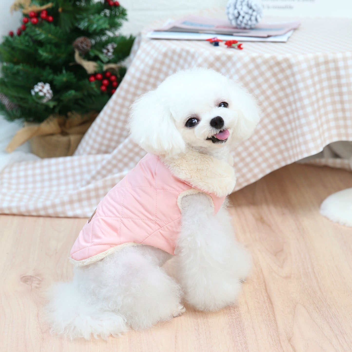 Padded Dog Jacket