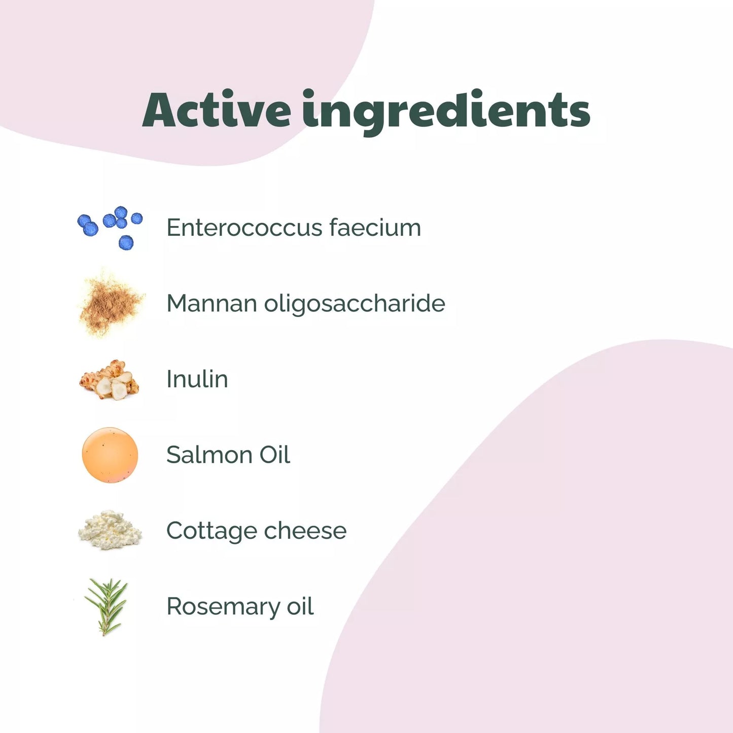 Buddy Care Probiotic Bites