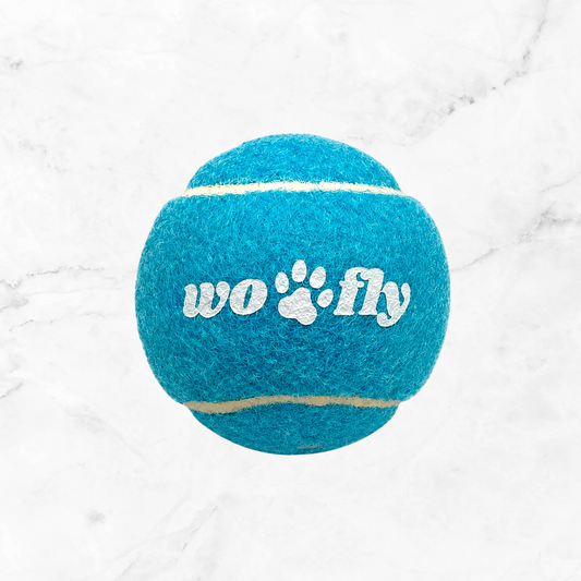 WOOFLY SQUEAKY TENNIS BALL - BLUE