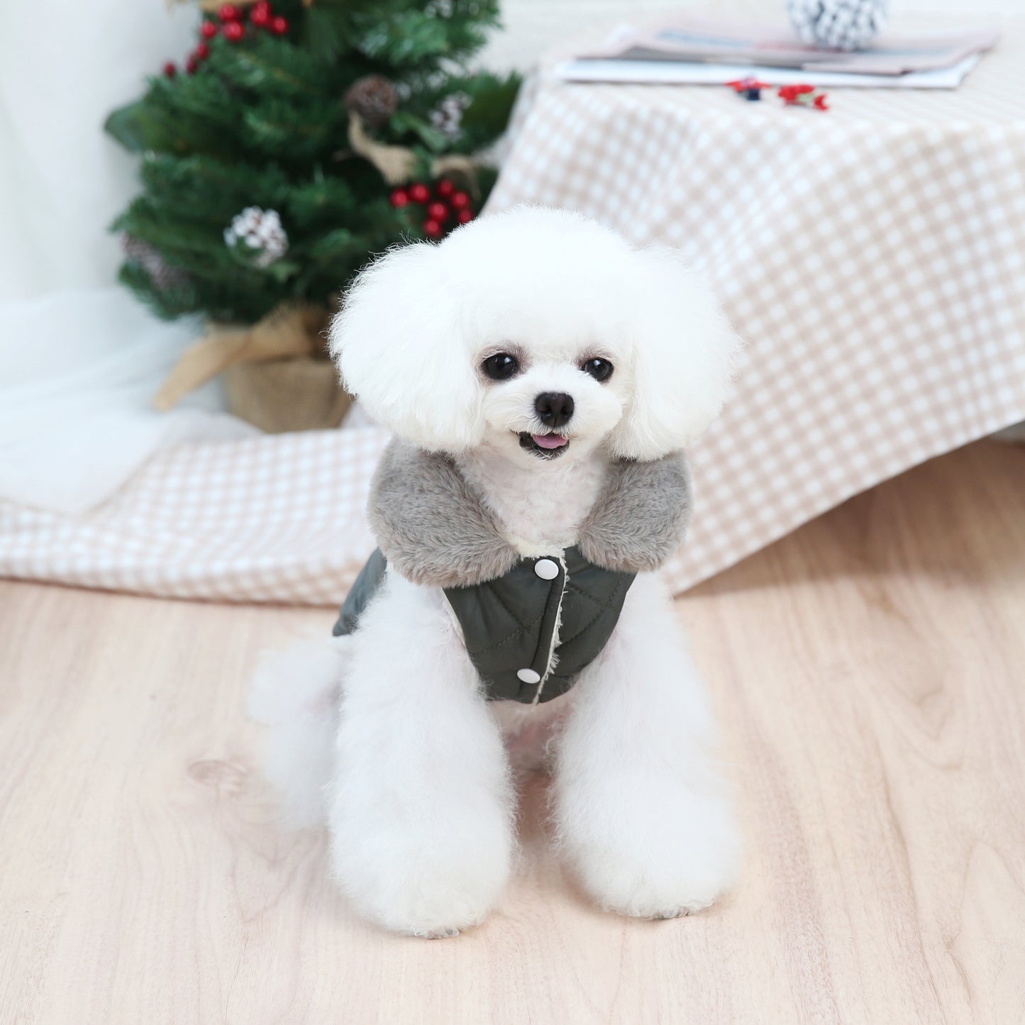 Padded Dog Jacket