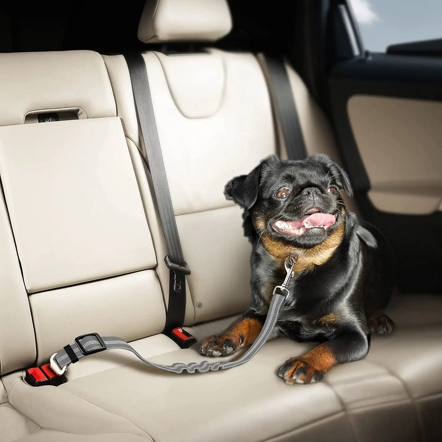 Dog Safety Seat Belt