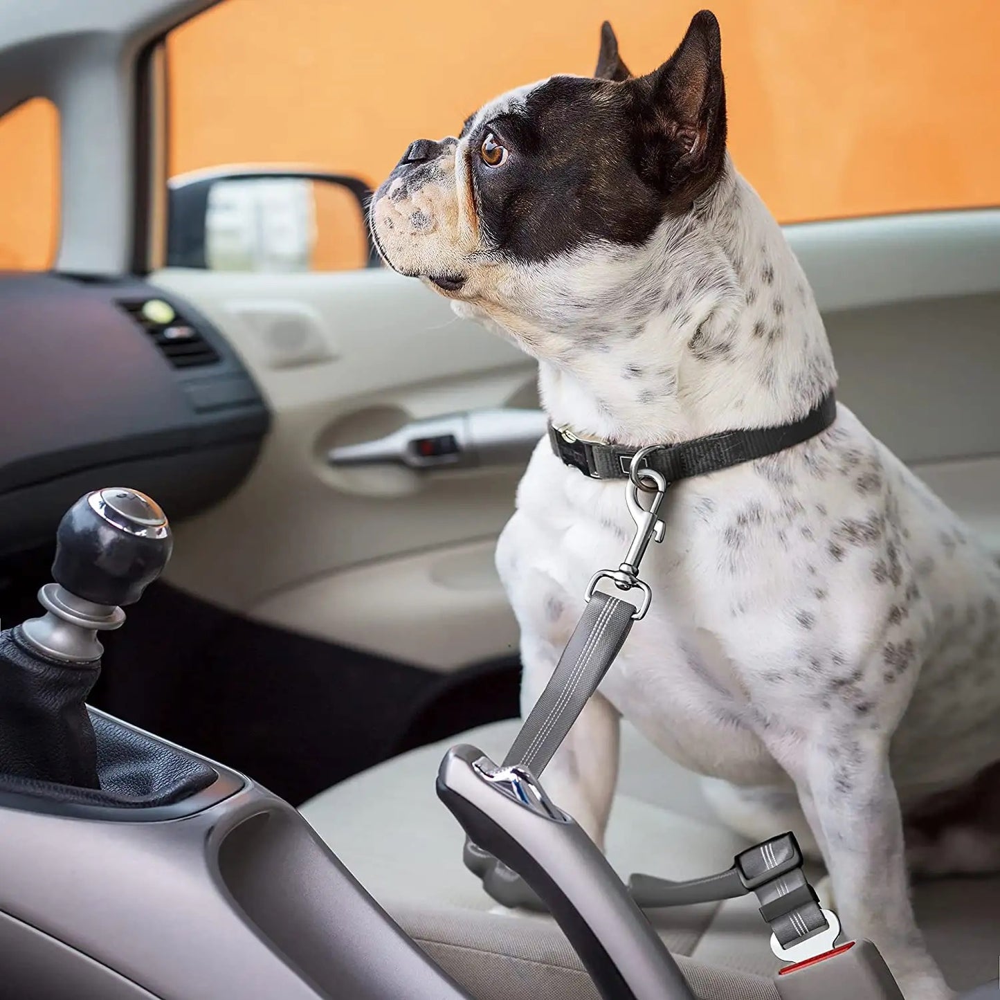 Dog Safety Seat Belt