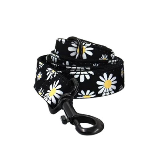 Daisy Dog Leash