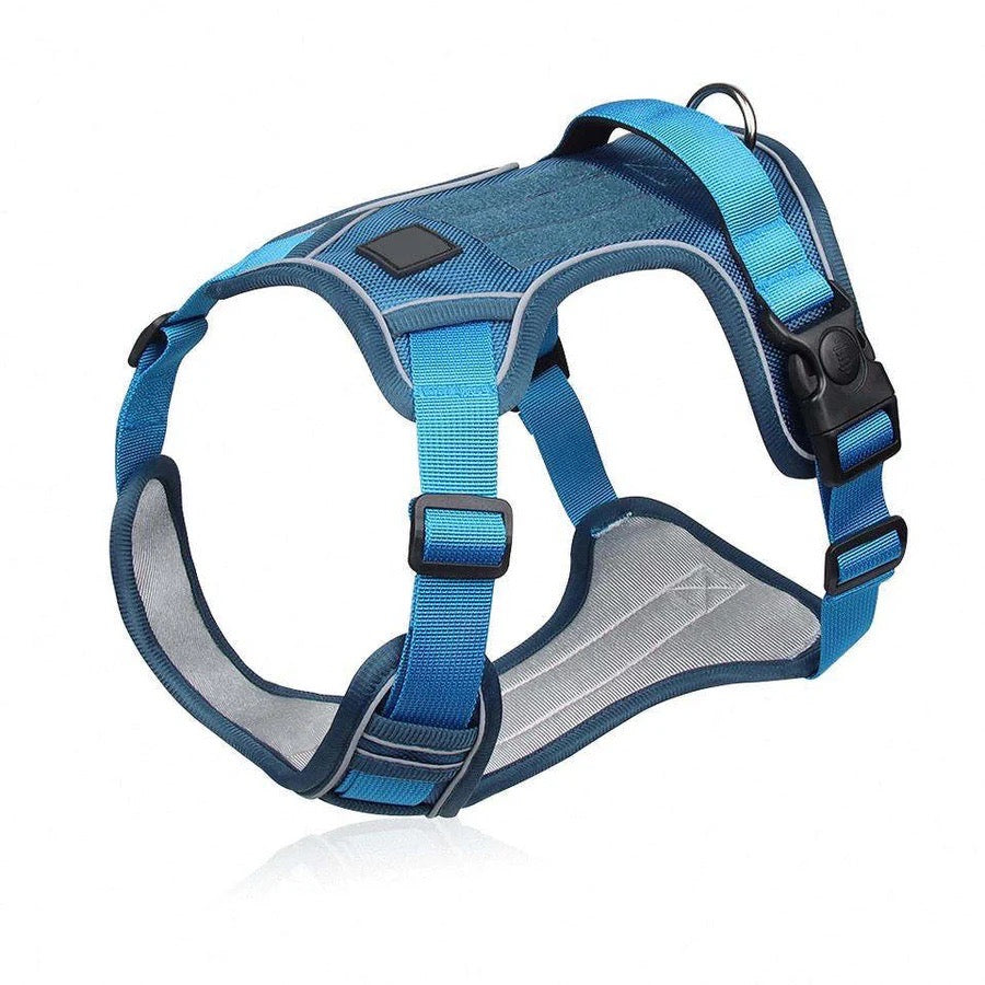 HEAVY DUTY DOG HARNESS - BLUE