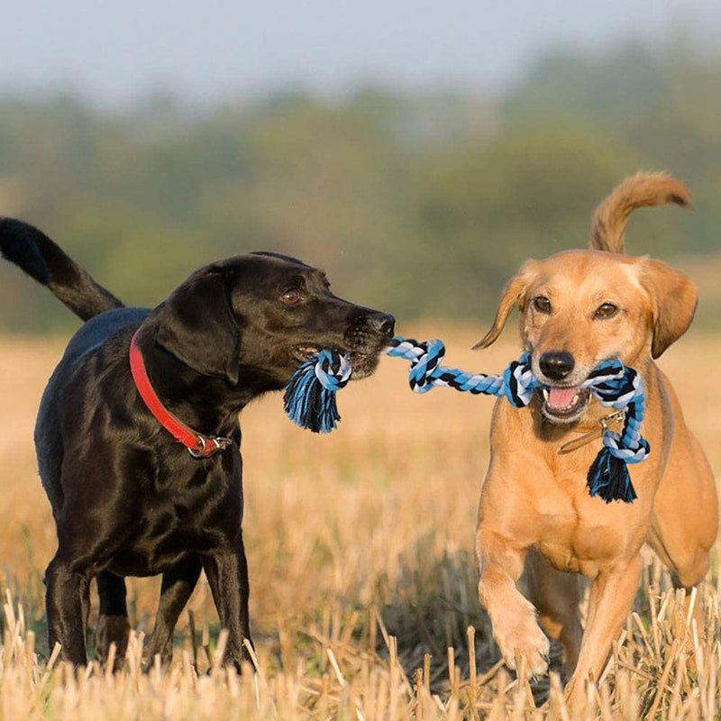 Five Knots Cotton Dog Rope - 90cm