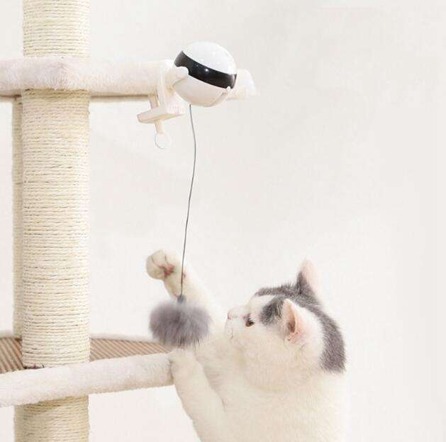 Interactive Smart Cat Toy Lifting Ball