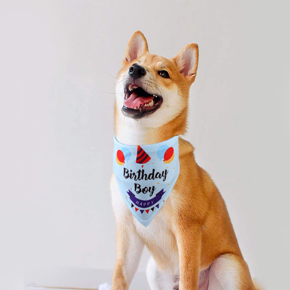 Birthday Boy Bandana